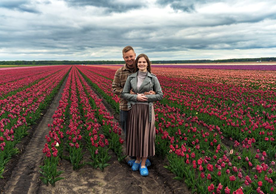 A happy couple enjoys a moment in a colorful tulip field under a cloudy sky.